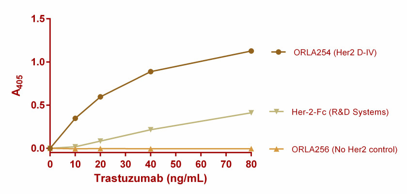 antibody-drug-conjugate-development-chart